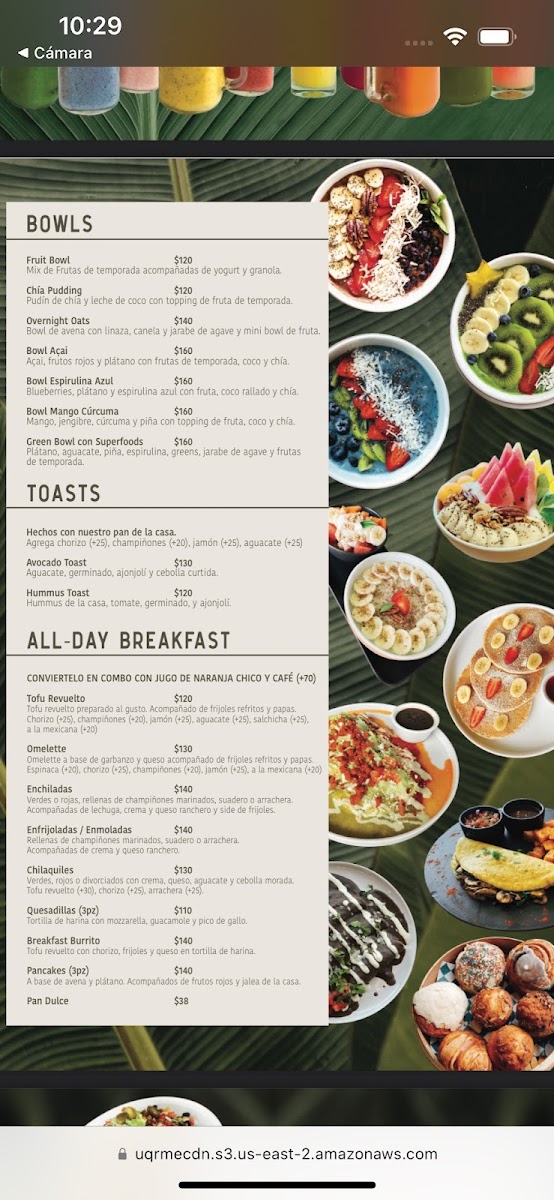 Herbívoro Menu - Image 2